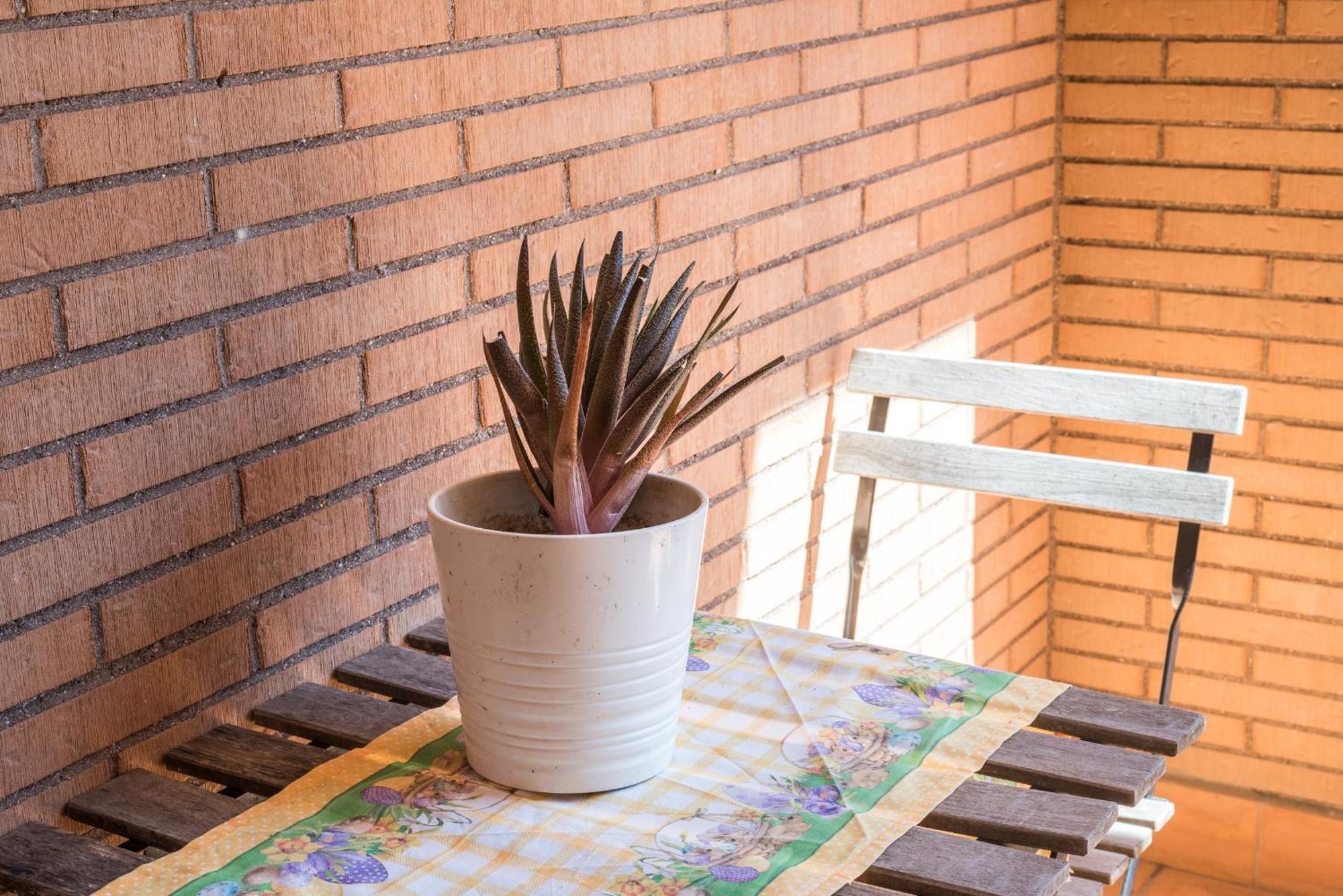 Travelershome Ciampino Suite Exteriér fotografie